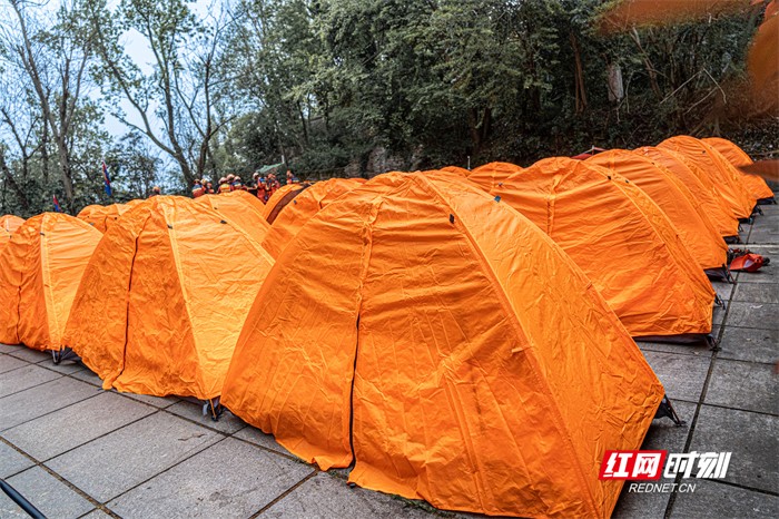 30小时极限鏖战！岳麓山“滑坡”救援大揭